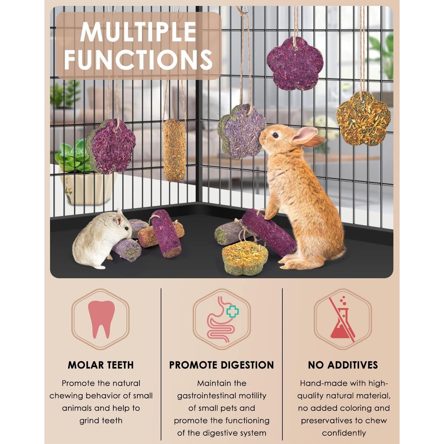 Bissap 12PCS Palitos Masticar Conejos Heno Timothy Zanahoria Fresa