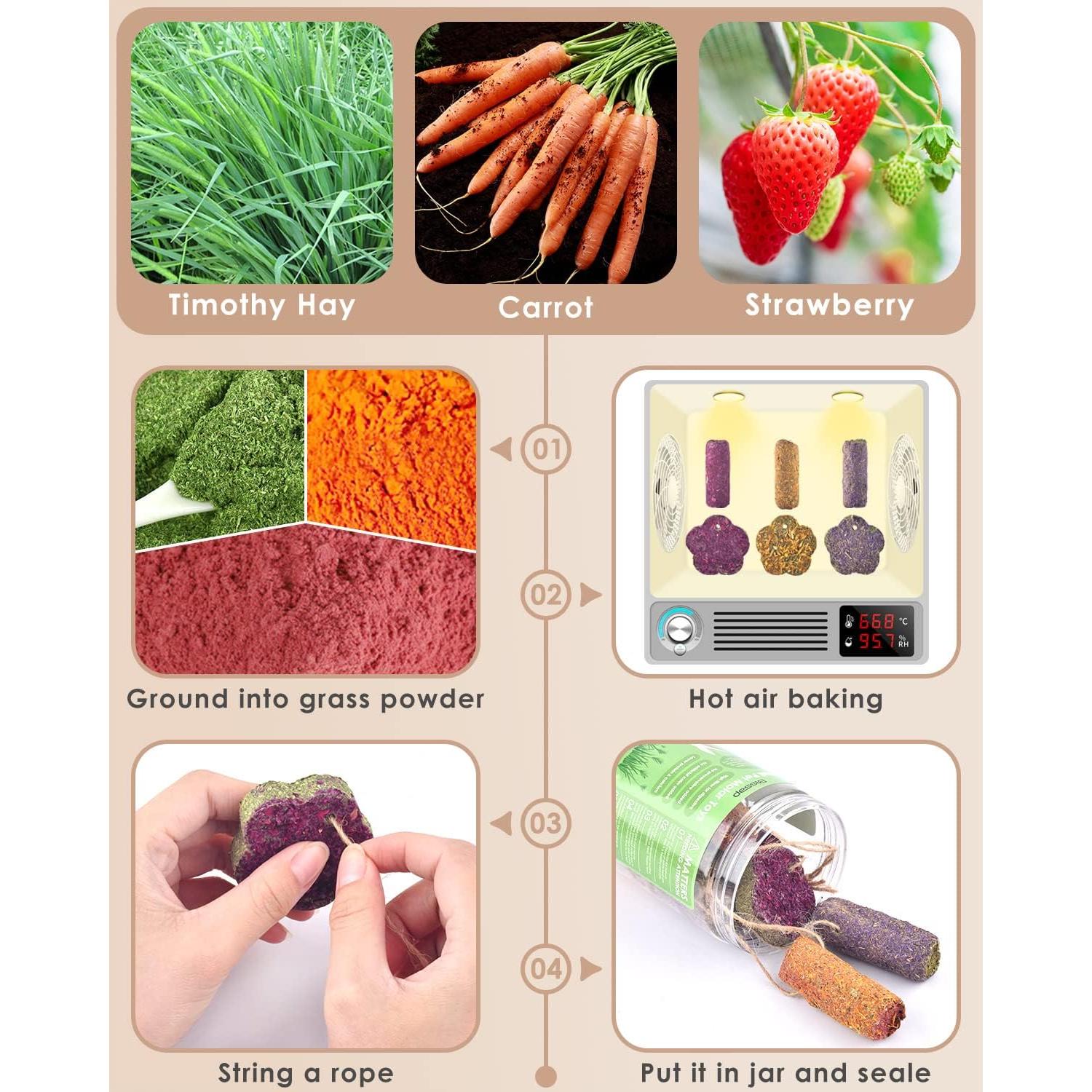 Bissap 12PCS Palitos Masticar Conejos Heno Timothy Zanahoria Fresa