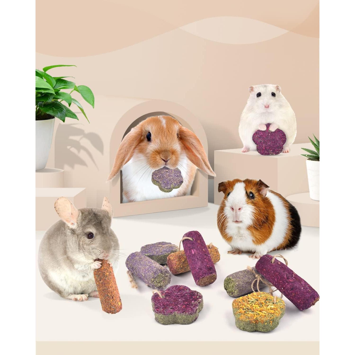 Bissap 12PCS Palitos Masticar Conejos Heno Timothy Zanahoria Fresa