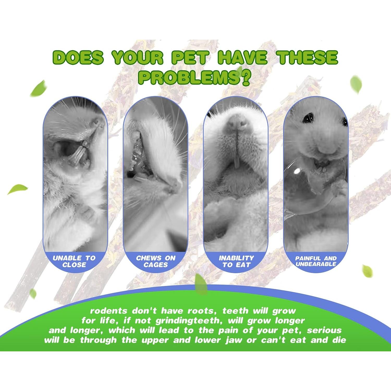 Juguetes Masticables Abizoo para Conejos 18PCS Orgánicos