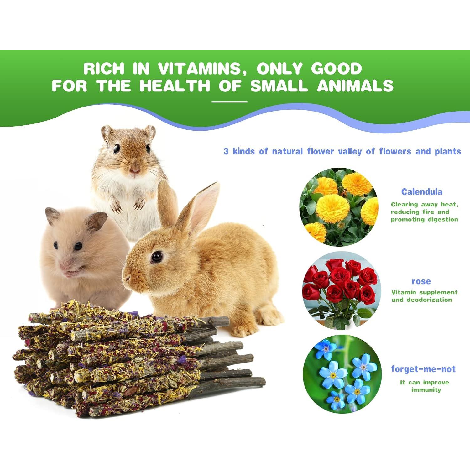 Juguetes Masticables Abizoo para Conejos 18PCS Orgánicos