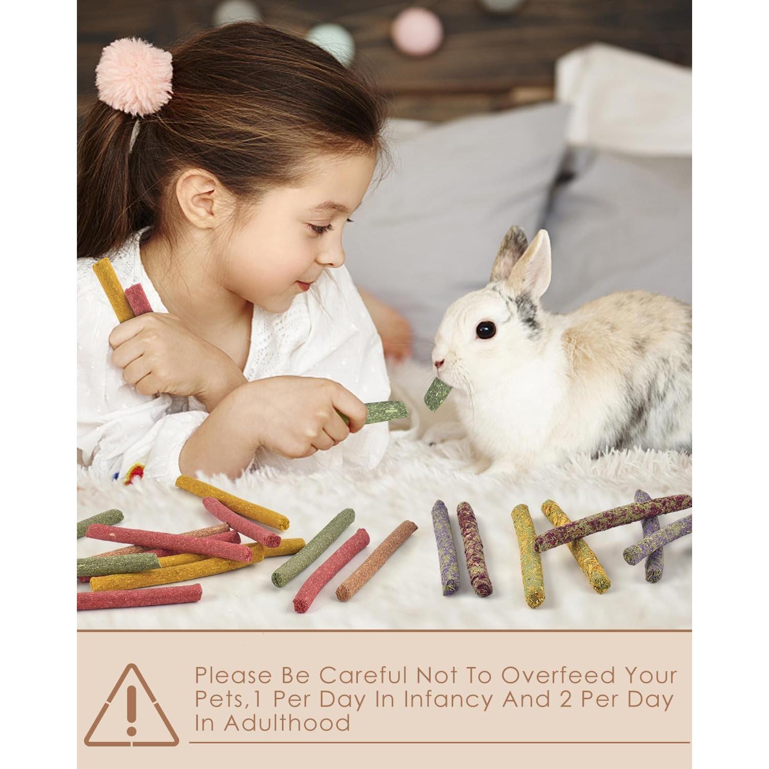 Bissap 72 PCS Snacks Masticables para Conejos y Roedores