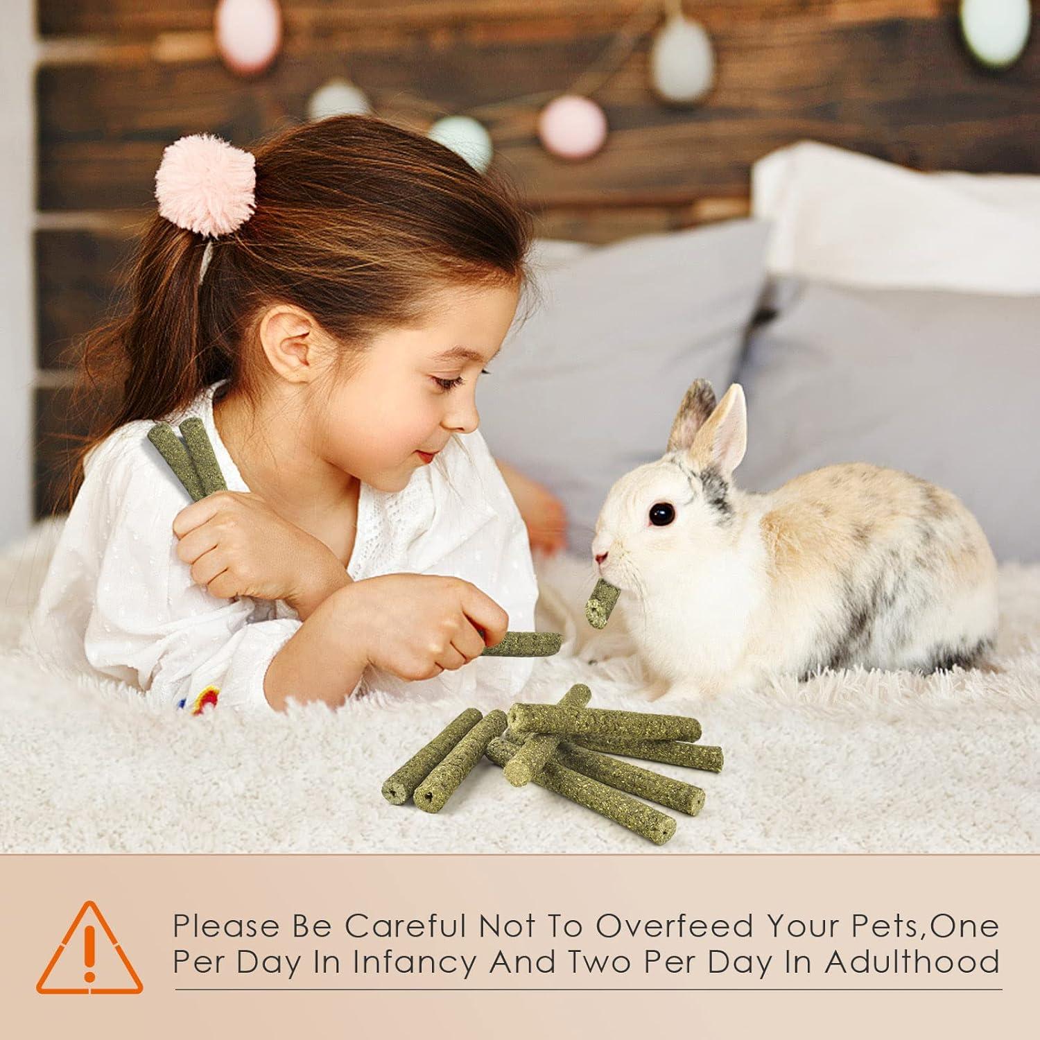 Palitos Masticables de Heno Timothy Bissap 38PCS 283g