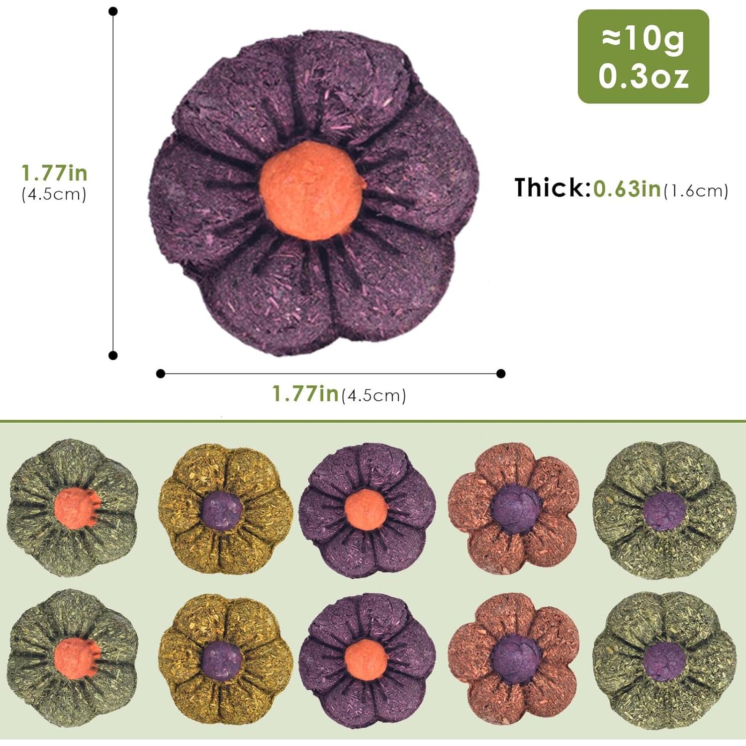 Juguetes Masticables ERKOON para Conejos y Pequeños 10PCS