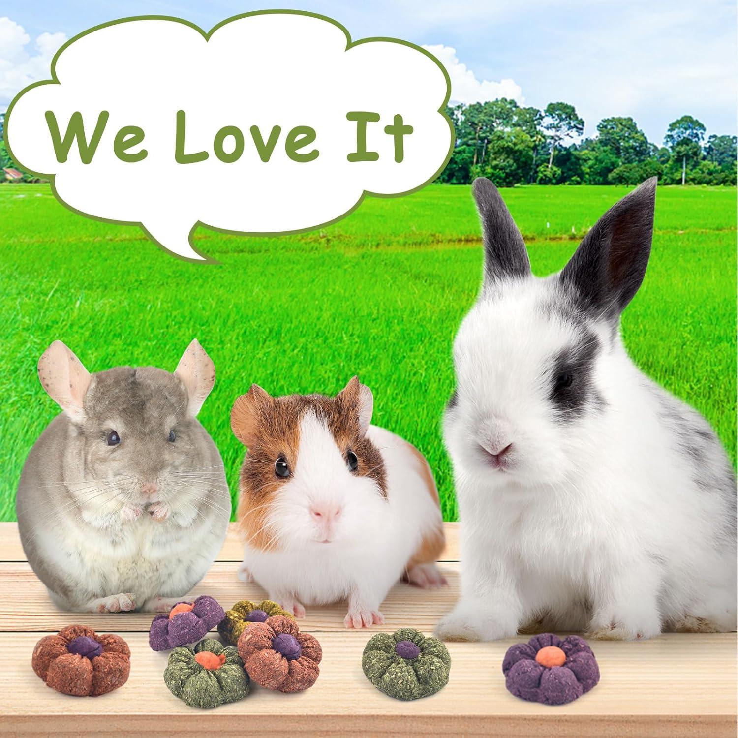 Juguetes Masticables ERKOON para Conejos y Pequeños 10PCS