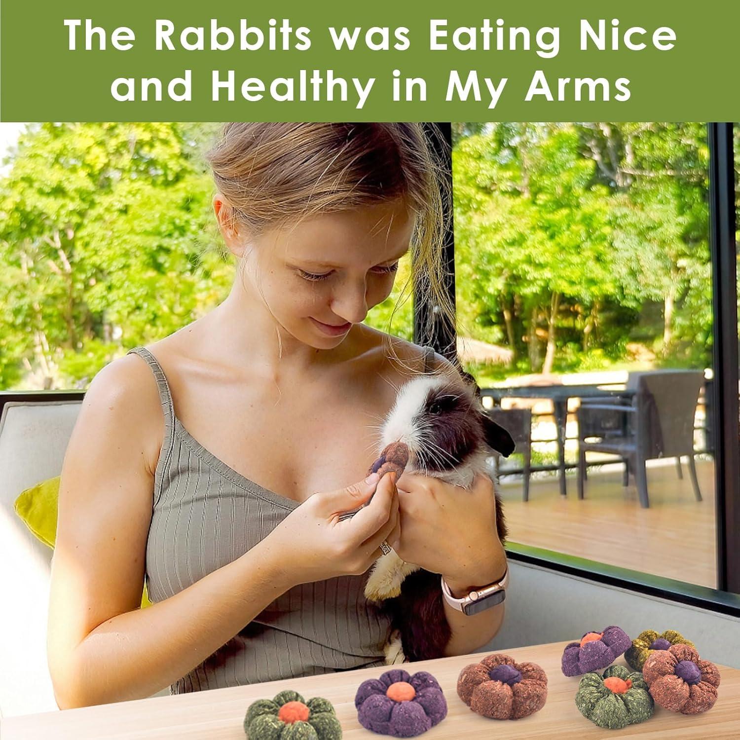 Juguetes Masticables ERKOON para Conejos y Pequeños 10PCS