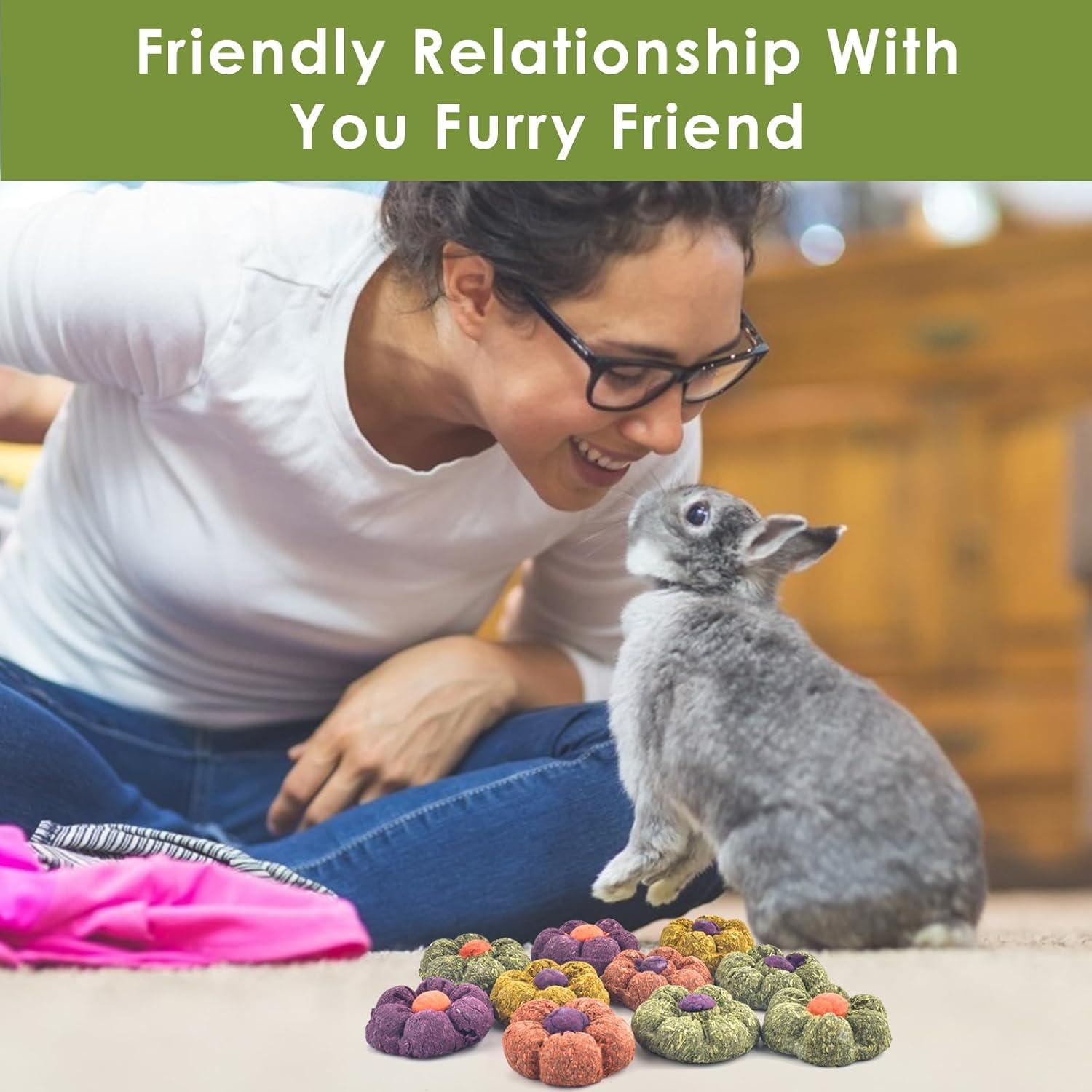 Juguetes Masticables ERKOON para Conejos y Pequeños 10PCS