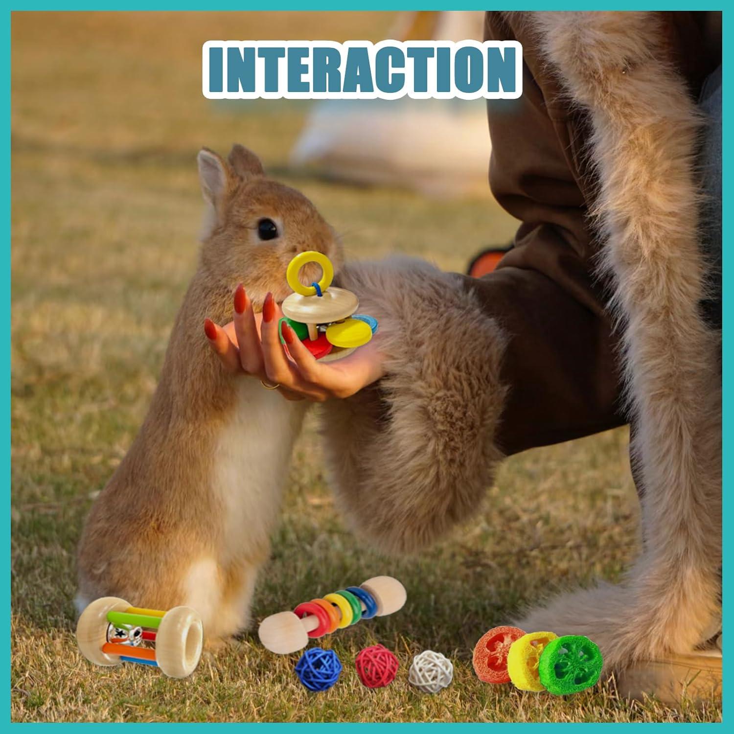 Juguetes de Madera para Conejos QWR - 9 Piezas Seguros