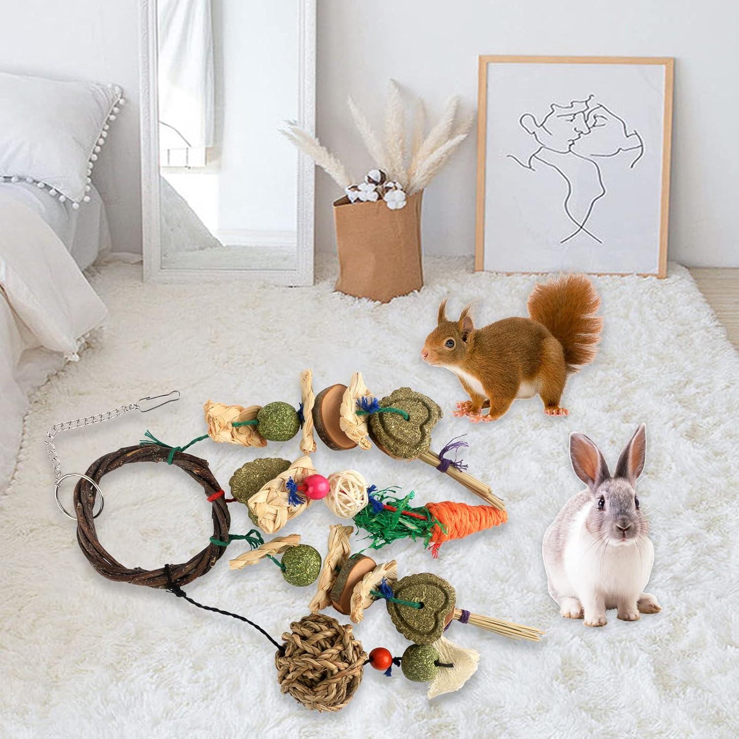 Juguetes para Roer Conejo HOSUKKO 2PCS - Salud Dental