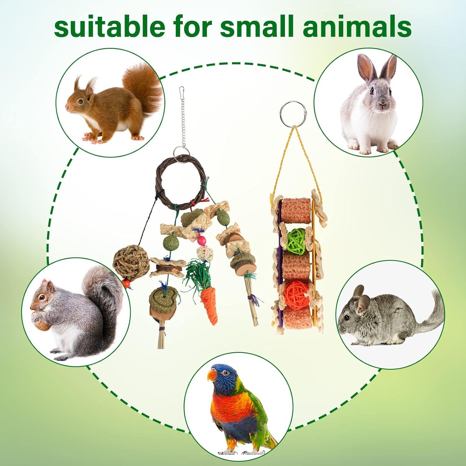 Juguetes para Roer Conejo HOSUKKO 2PCS - Salud Dental