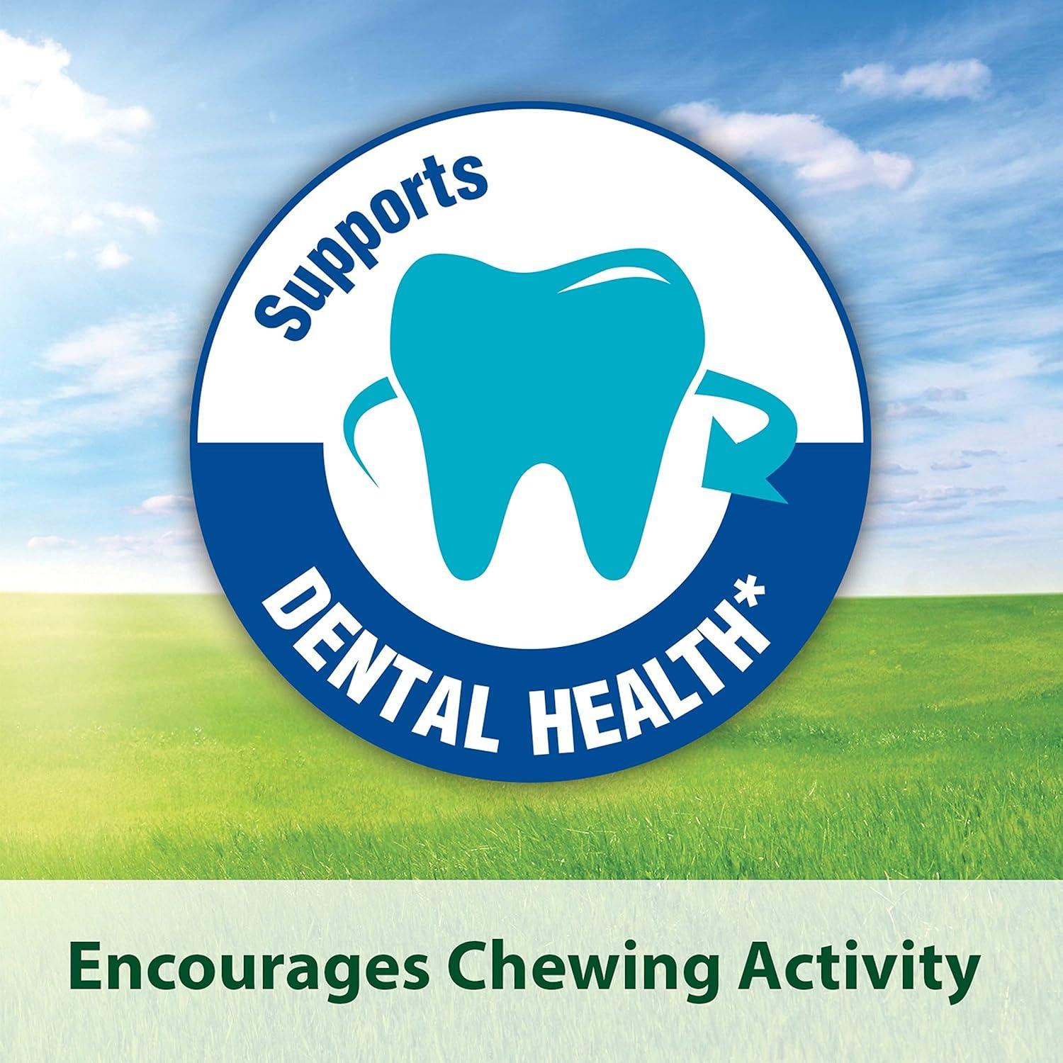 Galletas Kaytee Timothy Horneadas Zanahoria 113 g para Mascotas