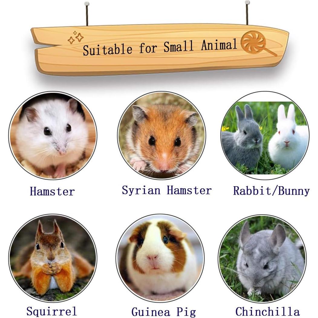 Bloques de Lava para Masticar PINVNBY 15 Pcs - Salud Dental Roedores