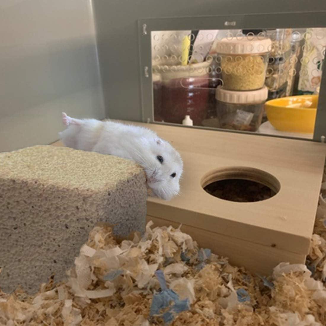 Bloques de Lava para Masticar PINVNBY 15 Pcs - Salud Dental Roedores