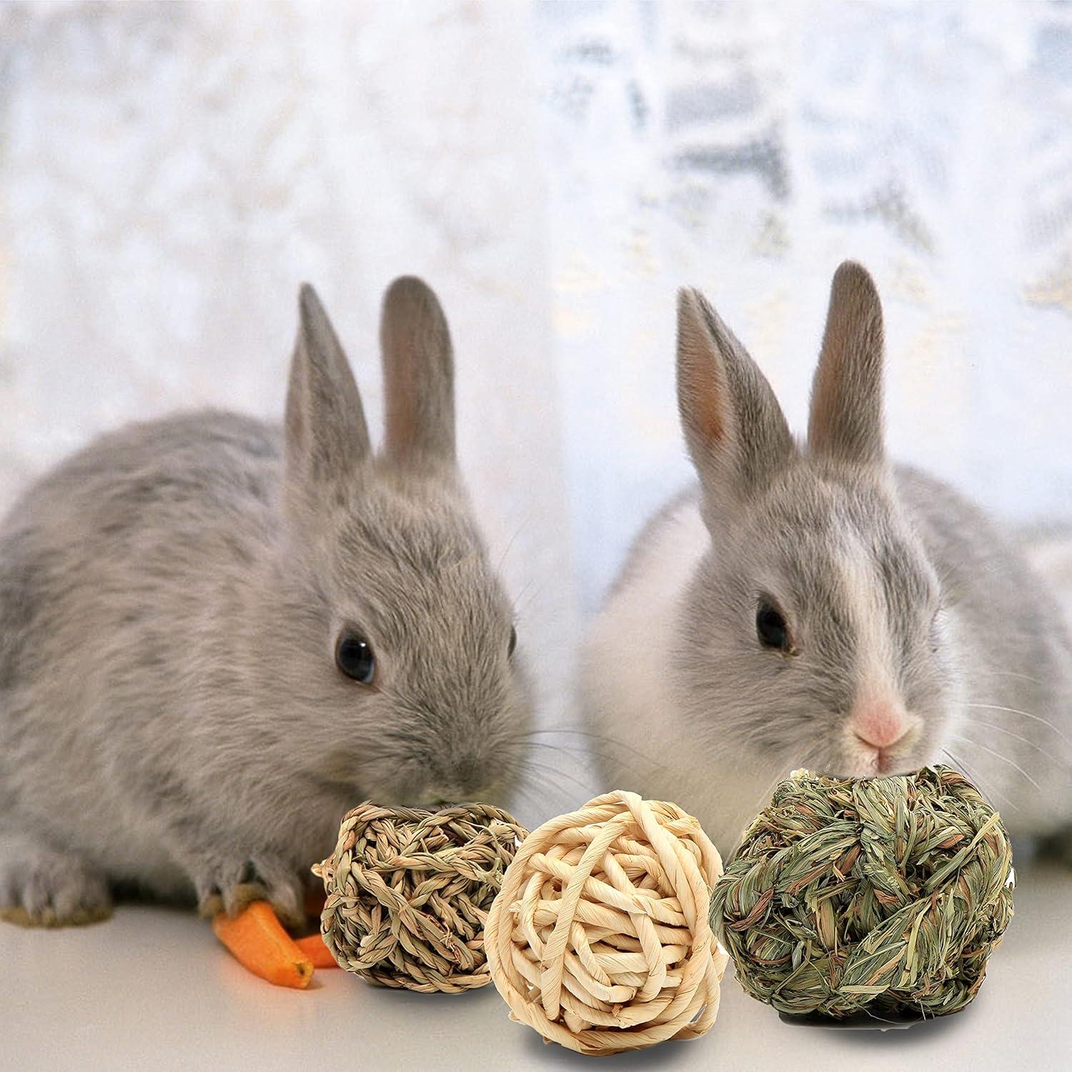 Juguetes de Actividad para Animales Pequeños Youngever - 8 Bolas Masticables