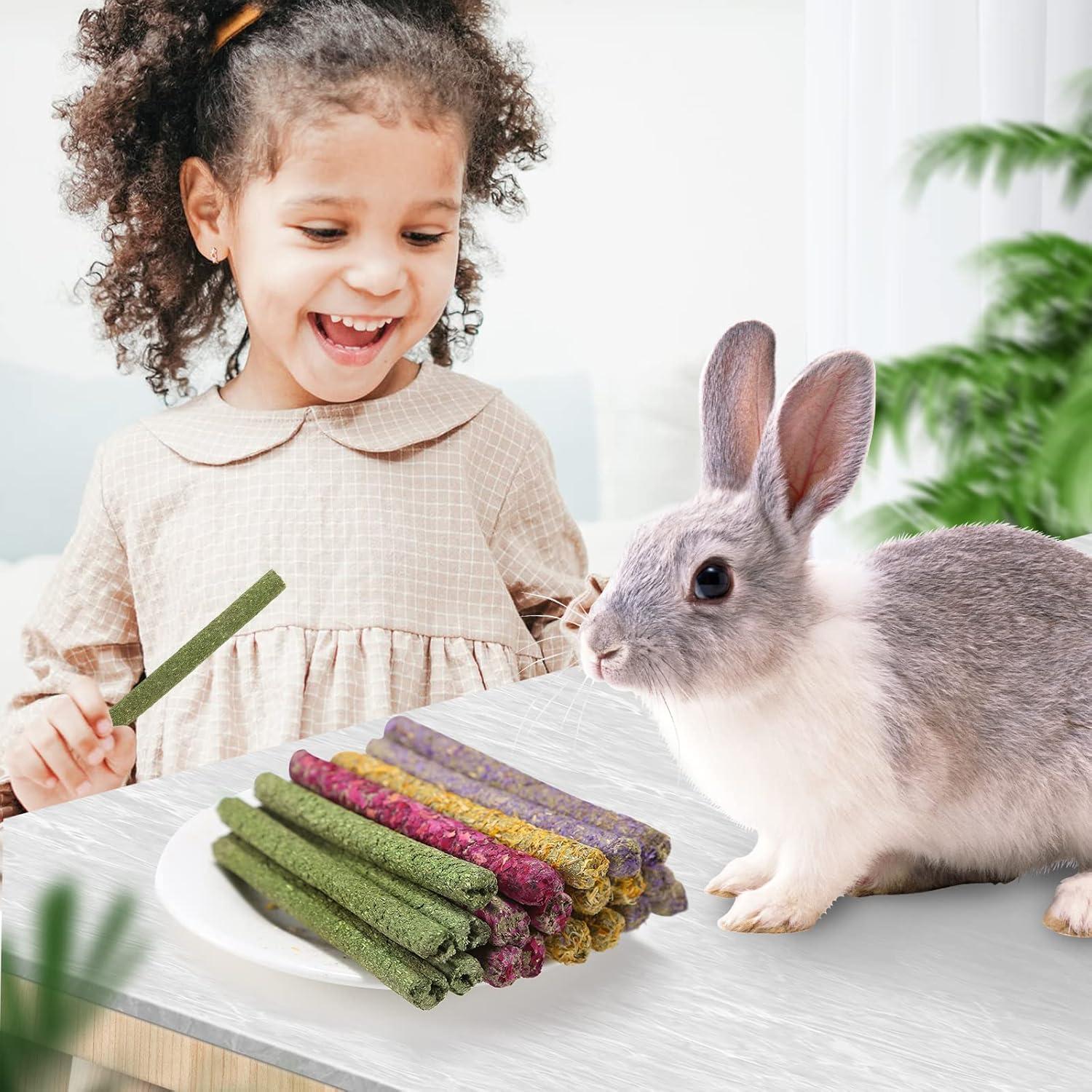 Juguetes de Masticar para Conejos PStarDMoon - 20 Palitos de Heno