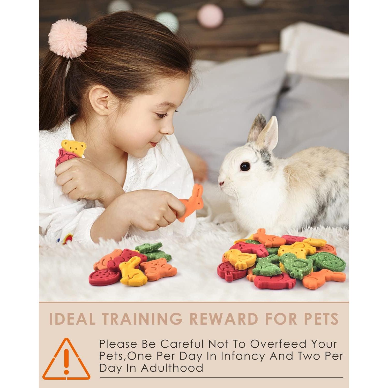 Bissap Juguetes de Masticar para Conejos 32PCS Heno Natural