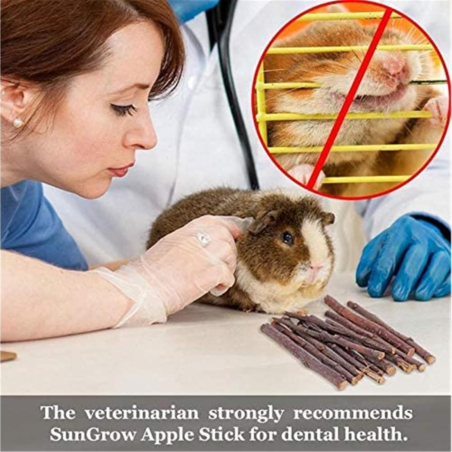 Juguetes Naturales para Conejos y Cobayas Andes Bunny 28PCS