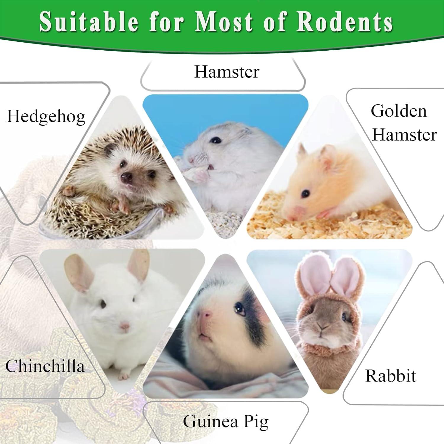 Juguetes de Masticar para Conejos FIPASEN 18PCS Heno Natural