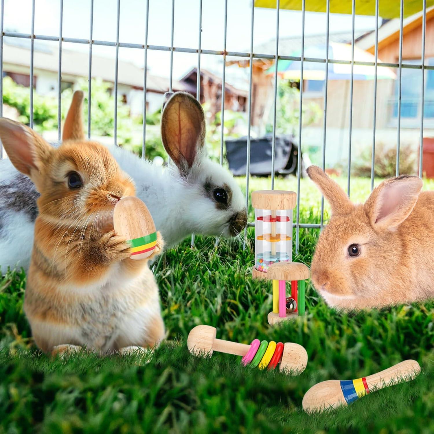 Juguetes de Madera para Conejos MEWTOGO 5 Pcs Seguros y Resistentes