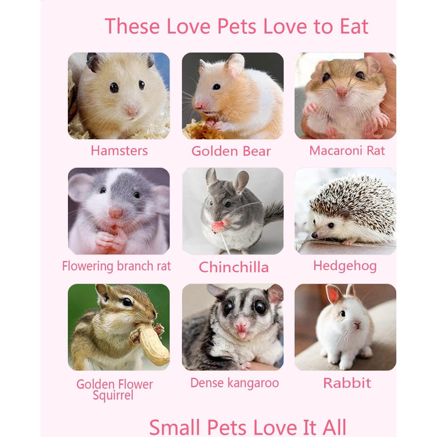 Juguetes para roer de conejo Dbeans 20 piezas sabores variados