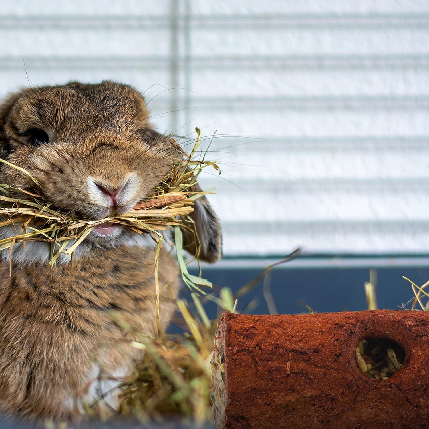 Golosina Comestible para Conejos Wild Harvest Logz Rellenos 1 Cuenta