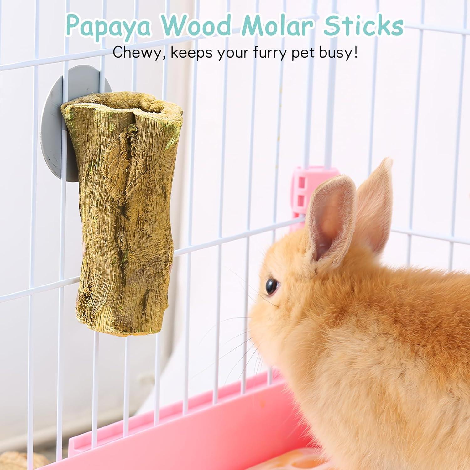 Juguetes para Masticar Fhiny de Madera de Papaya 3 PCS