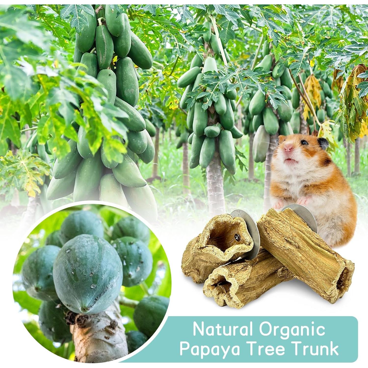 Juguetes para Masticar Fhiny de Madera de Papaya 3 PCS