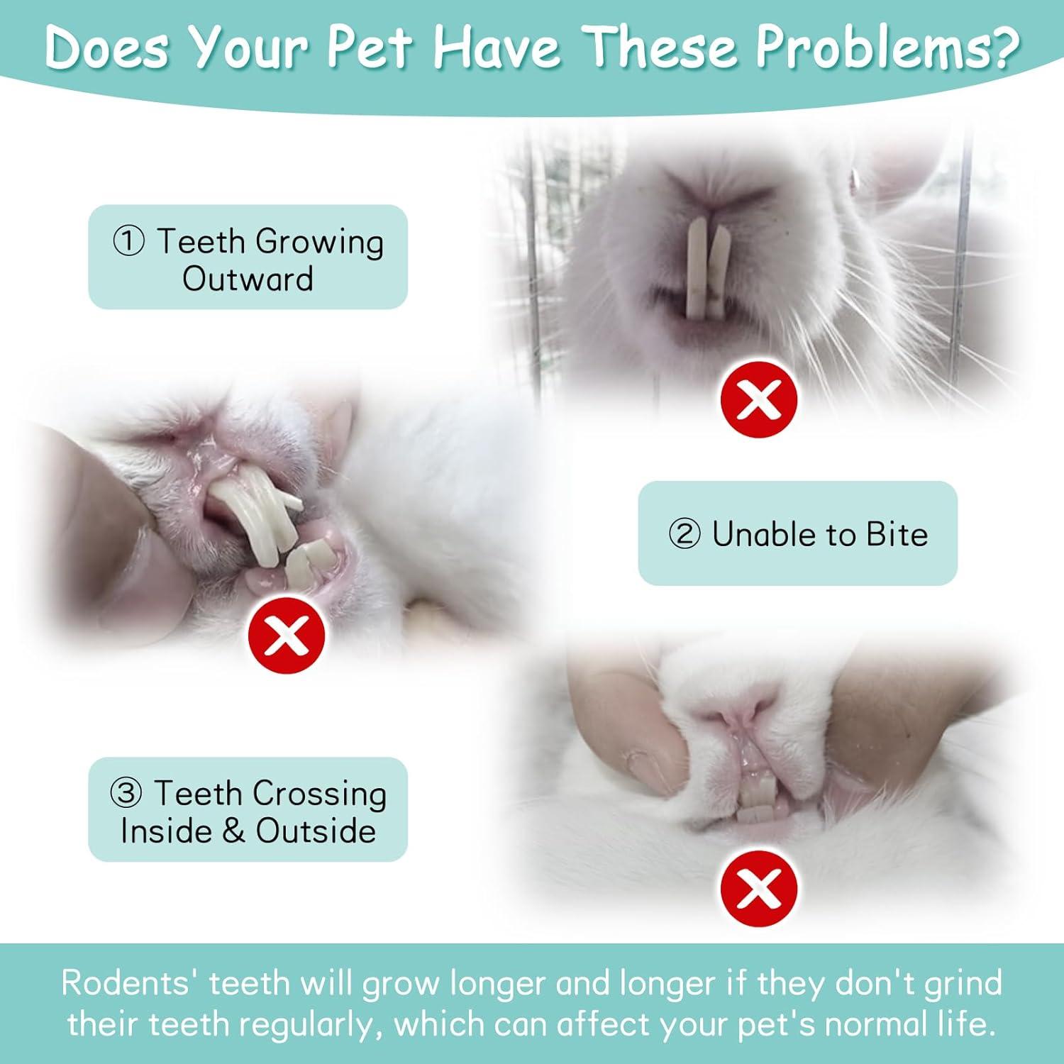 Juguetes para Masticar Fhiny de Madera de Papaya 3 PCS