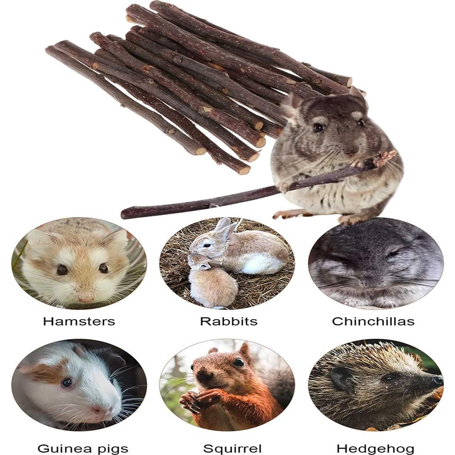 Palitos de Manzana Natural 300g ANDES para Animales Pequeños