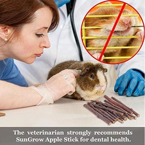 Palitos de Manzana Natural 300g ANDES para Animales Pequeños