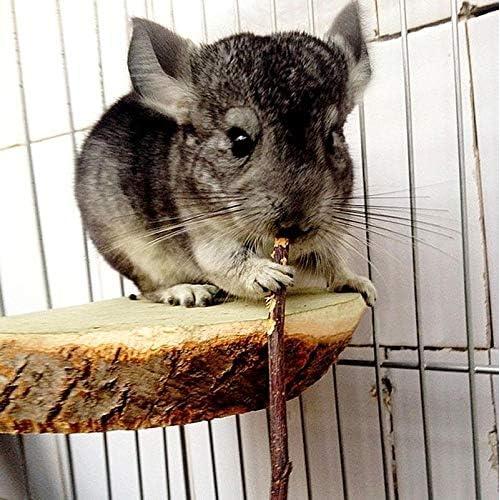 Palitos de Manzana Natural 300g ANDES para Animales Pequeños