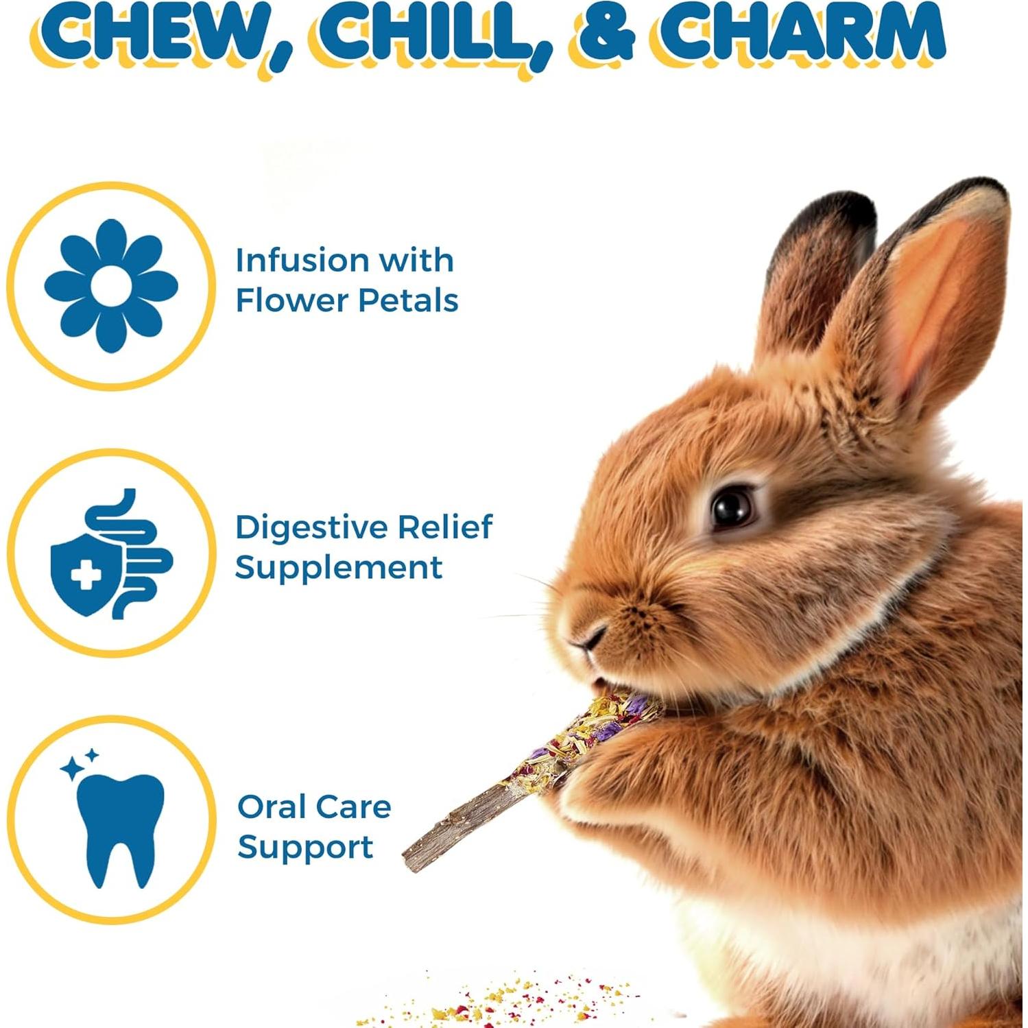 Palitos de Manzana SunGrow con Flores - 20 Pcs para Roedores