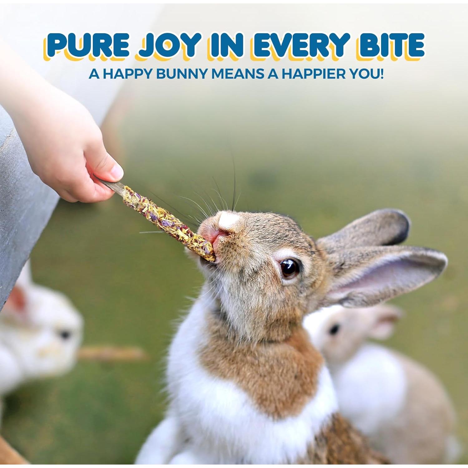 Palitos de Manzana SunGrow con Flores - 20 Pcs para Roedores