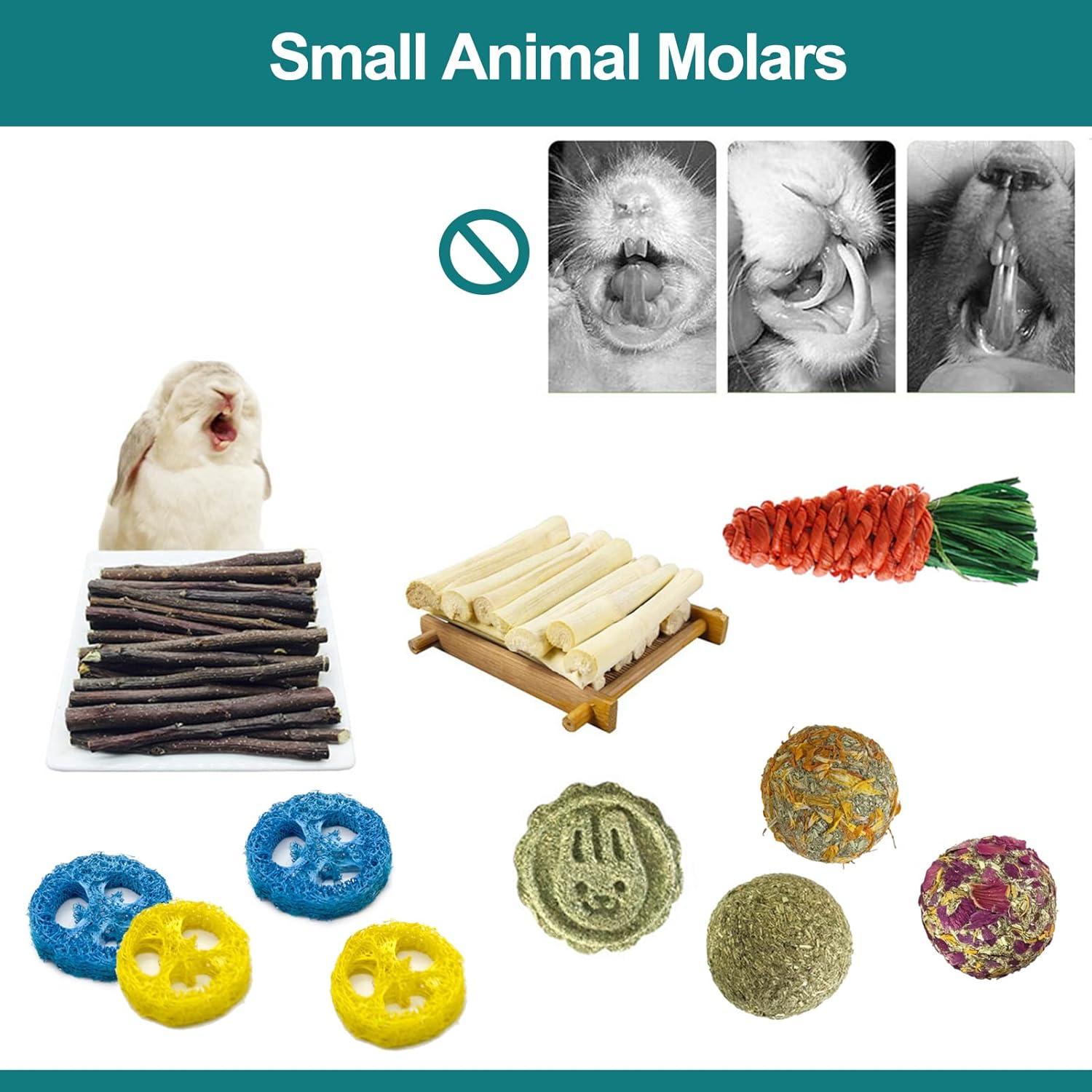 Túnel y Juguetes para Conejos Mechpia - 96.5x20.1cm