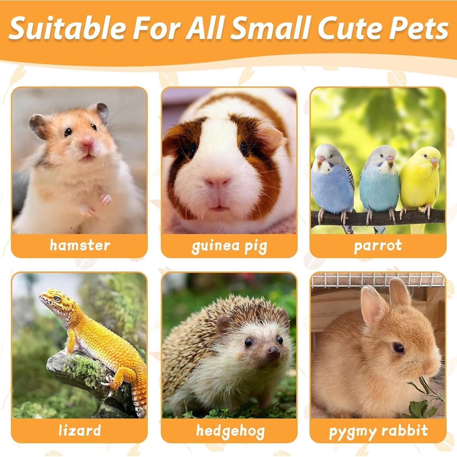 Hamaca de Hierba Marina Kathson 40x40 cm para Conejos y Pequeños Animales