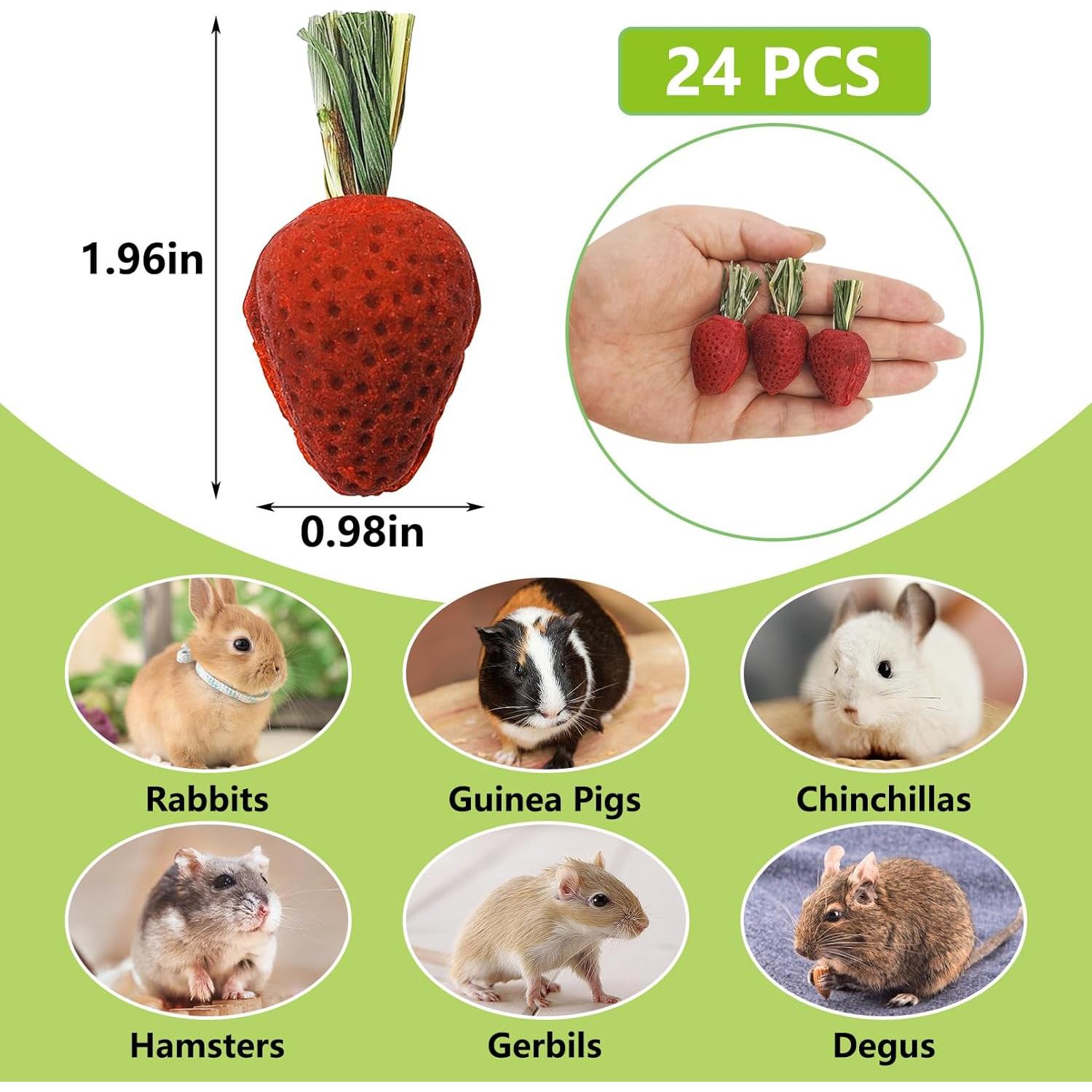 Juguetes Masticables Fhiny para Hámster 24 PCS Salud Dental