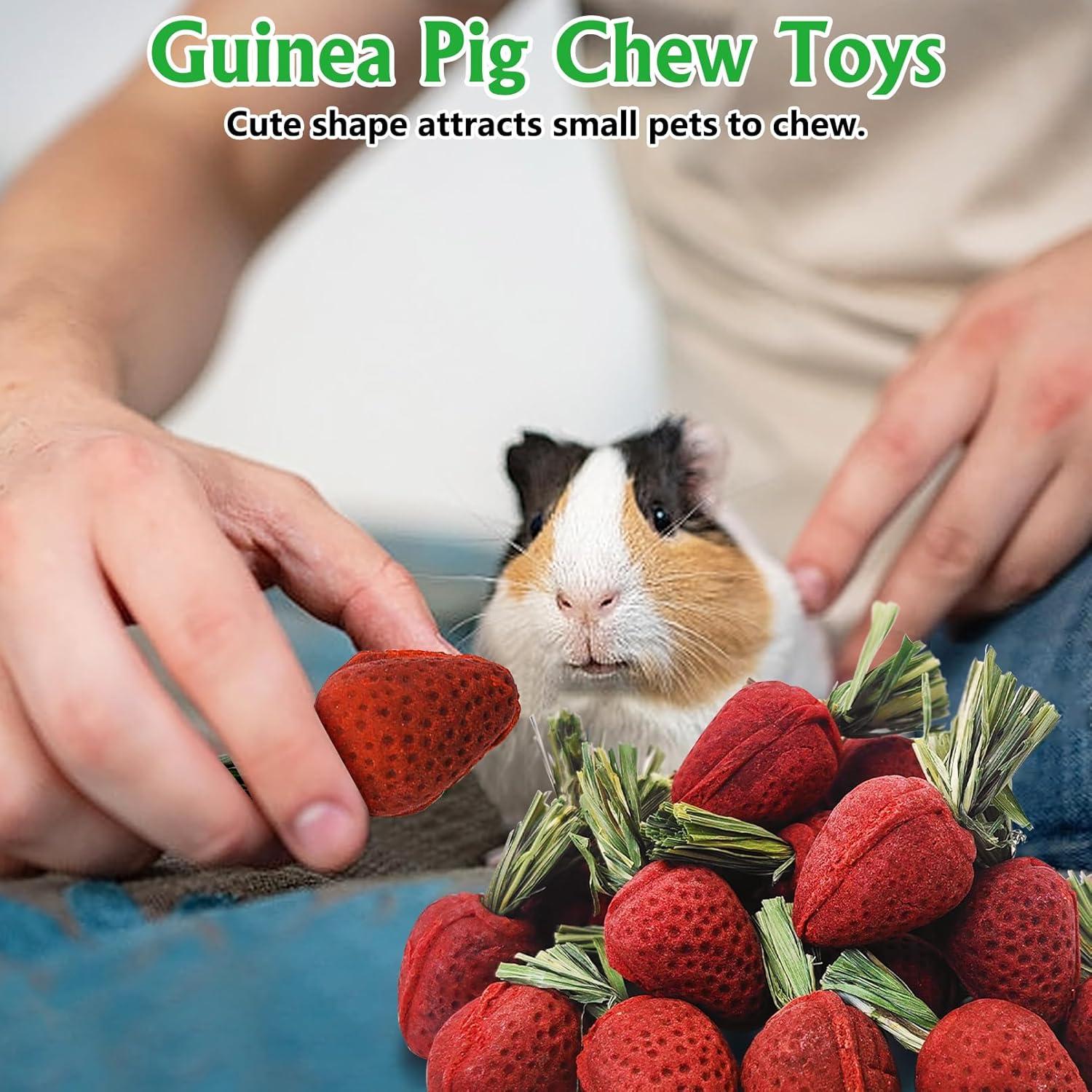 Juguetes Masticables Fhiny para Hámster 24 PCS Salud Dental