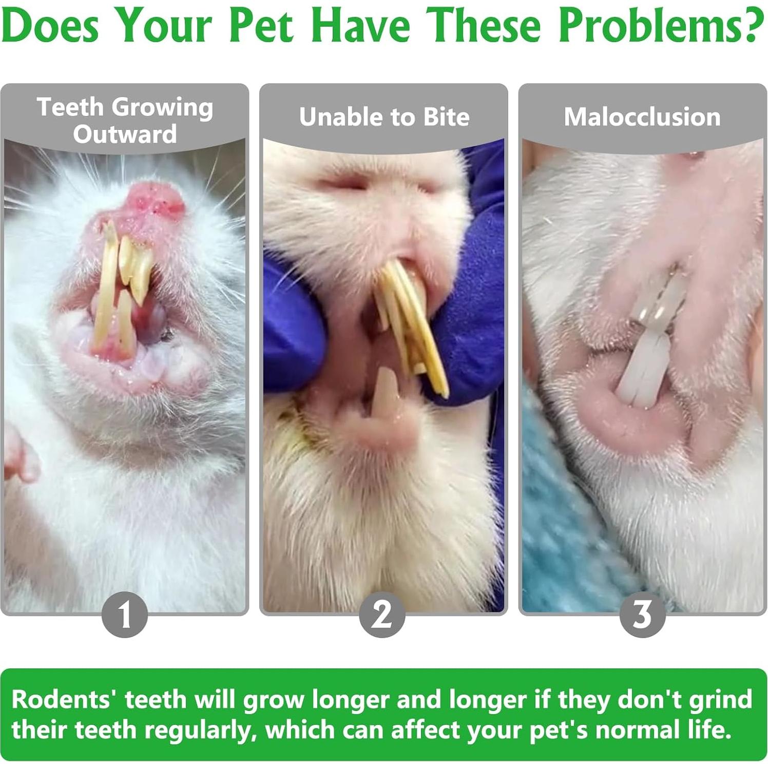 Juguetes Masticables Fhiny para Hámster 24 PCS Salud Dental