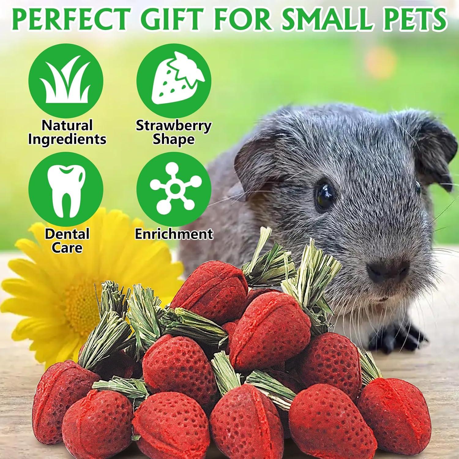 Juguetes Masticables Fhiny para Hámster 24 PCS Salud Dental