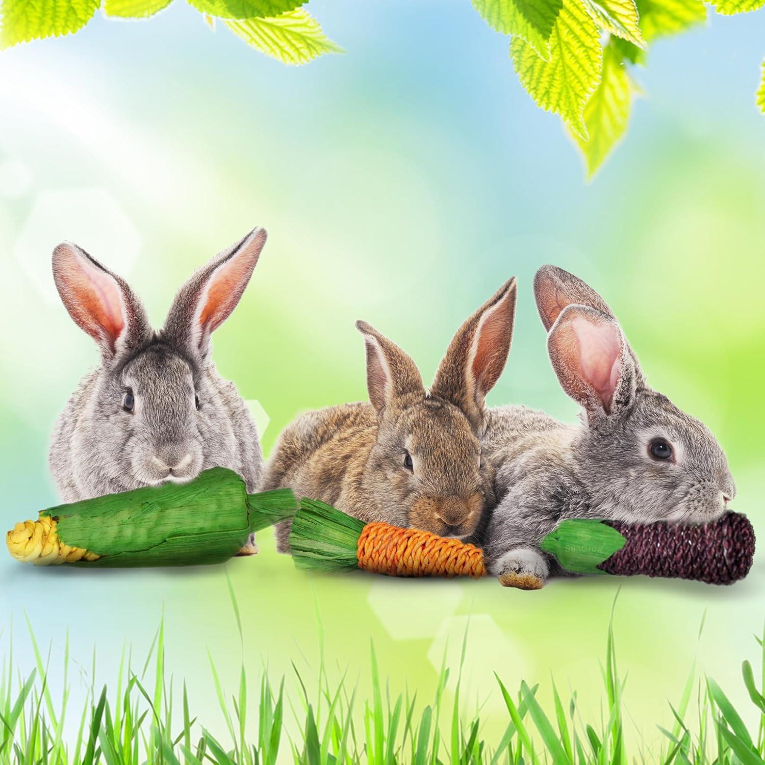 Juguetes Masticables Naturales SunGrow para Conejos - 3 Piezas