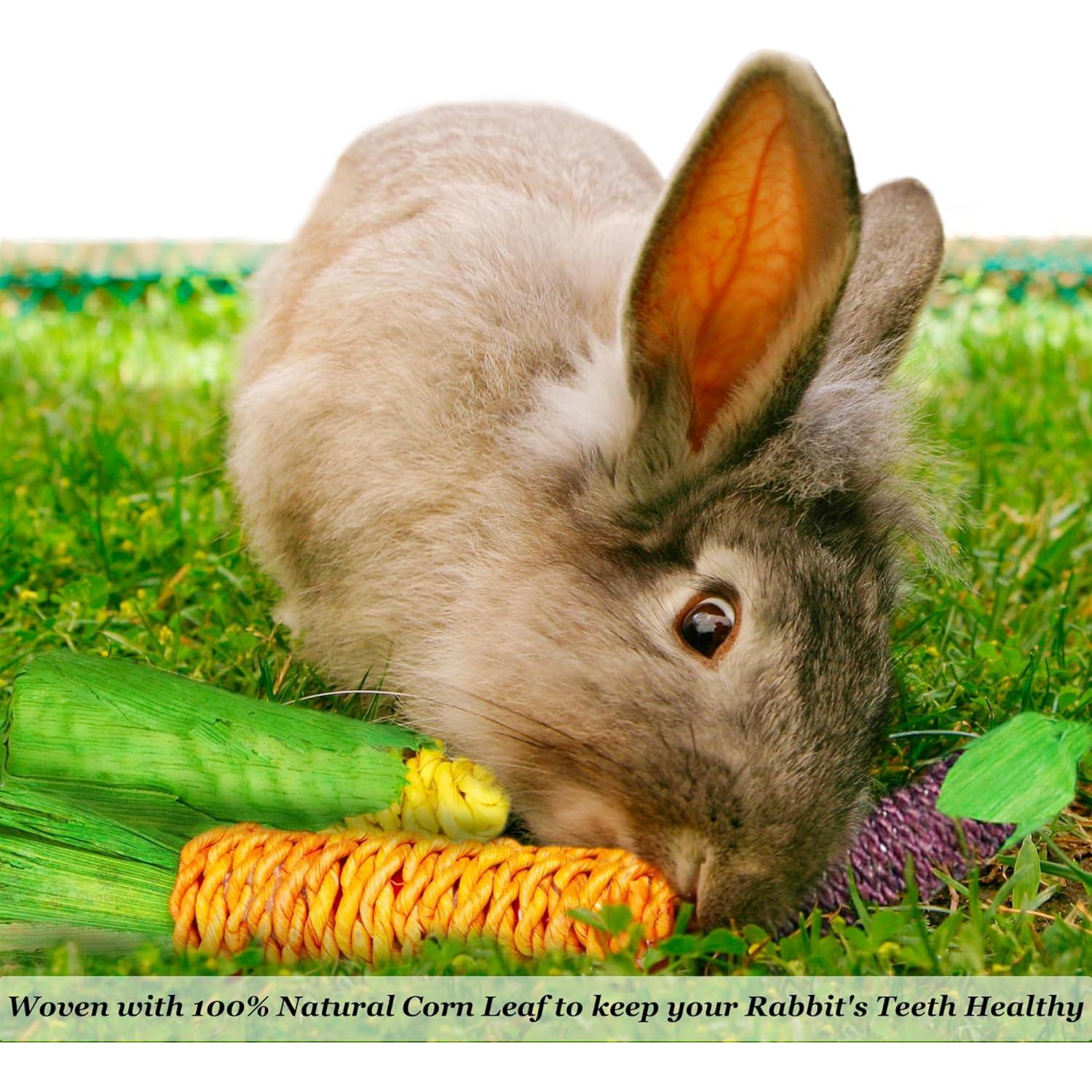 Juguetes Masticables Naturales SunGrow para Conejos - 3 Piezas