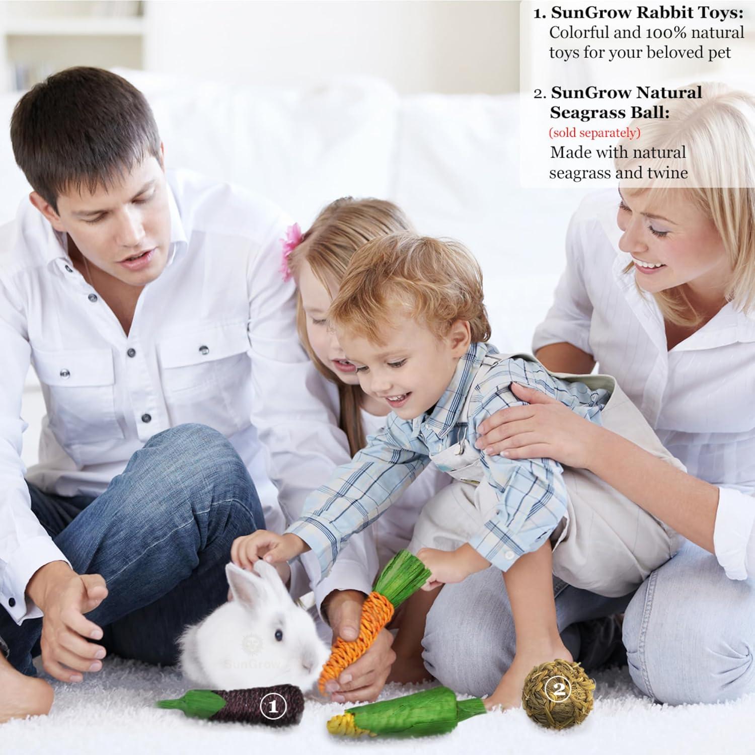 Juguetes Masticables Naturales SunGrow para Conejos - 3 Piezas