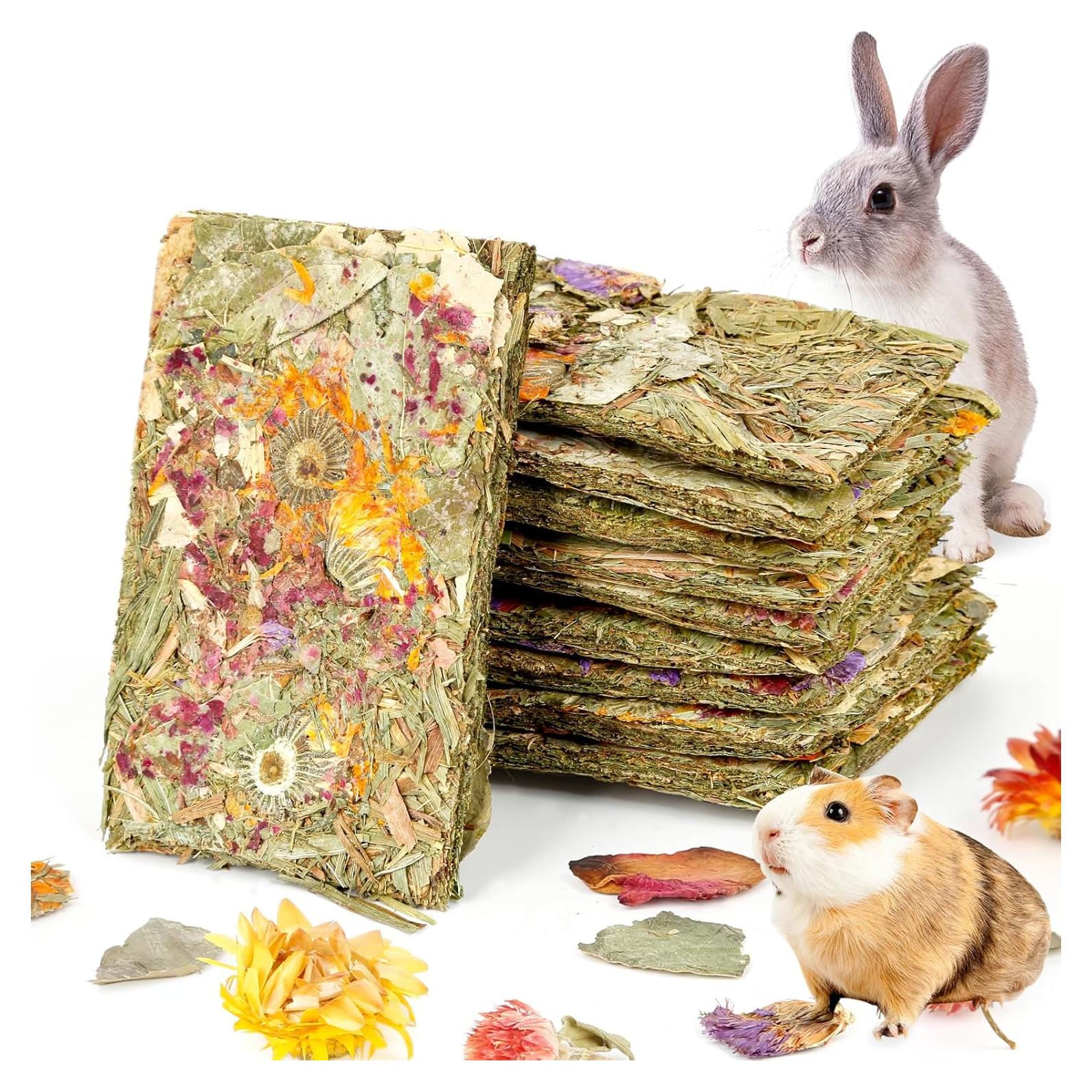 Galletas Naturales para Conejos Abizoo - 10 Piezas Heno Timothy