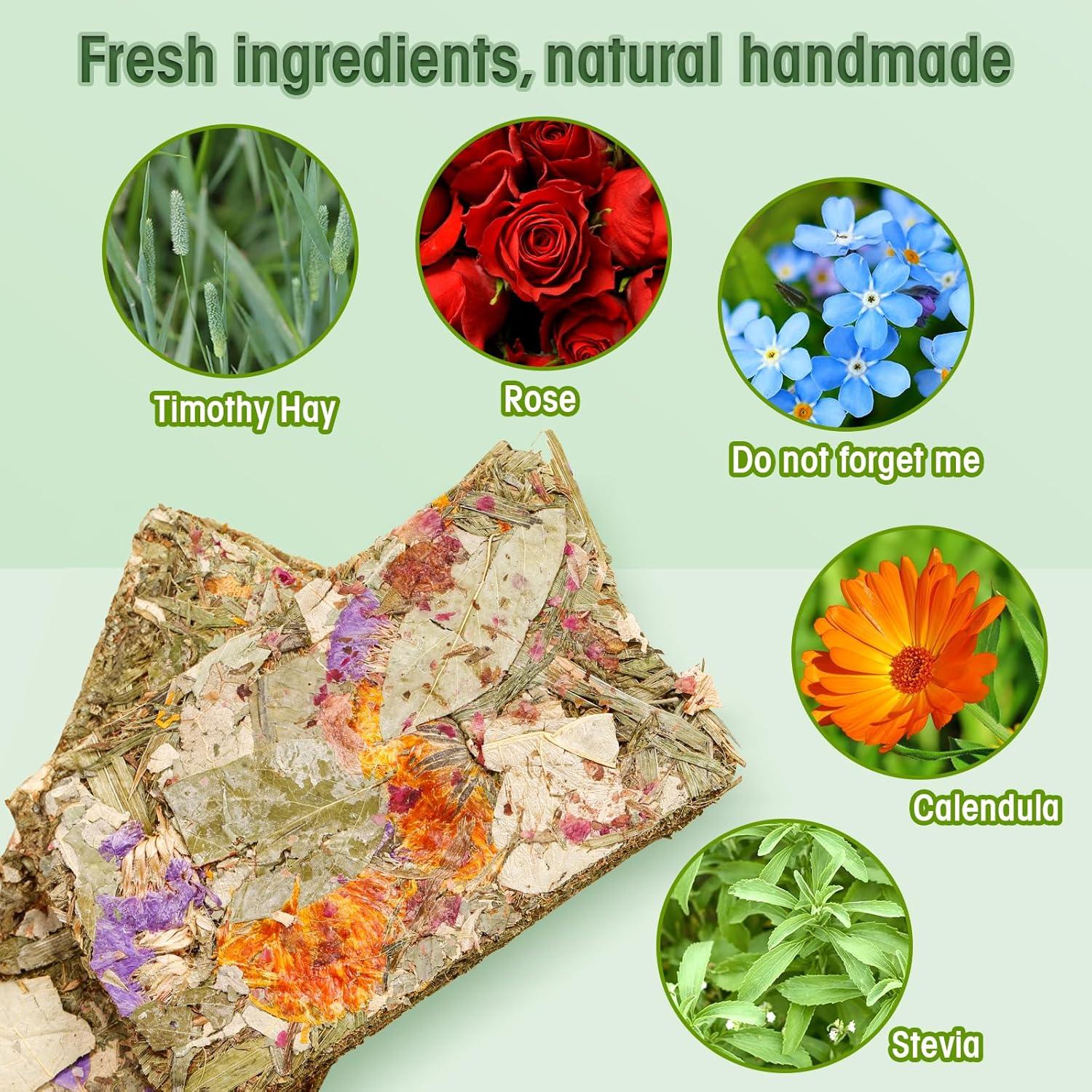 Galletas Naturales para Conejos Abizoo - 10 Piezas Heno Timothy