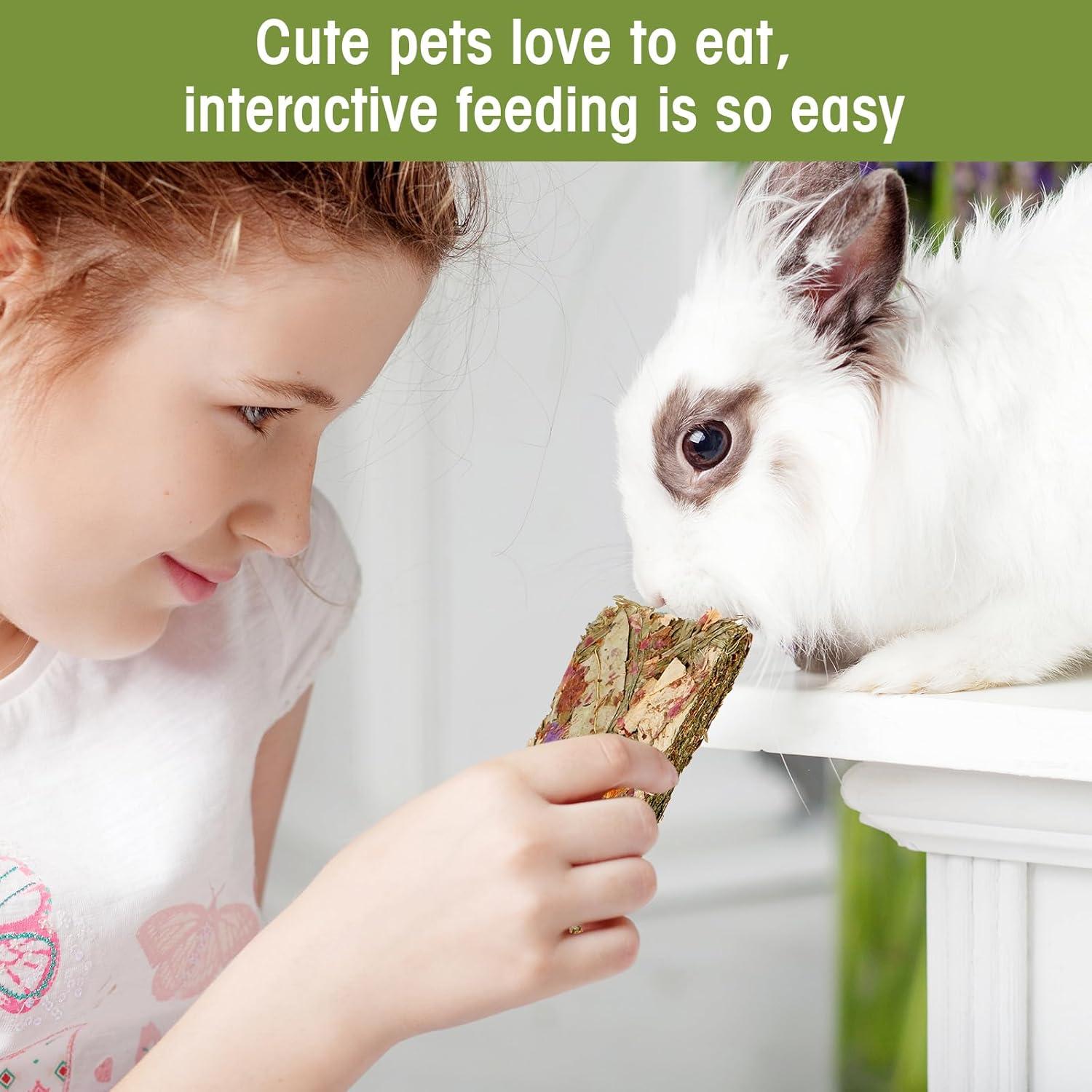 Galletas Naturales para Conejos Abizoo - 10 Piezas Heno Timothy