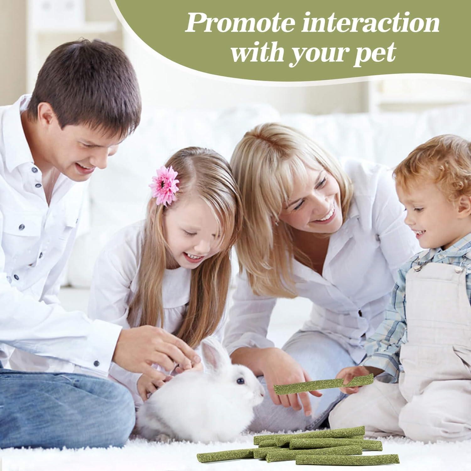 Juguetes para Conejos Sukh 300g - Heno Timothy, Manzana y Bambú