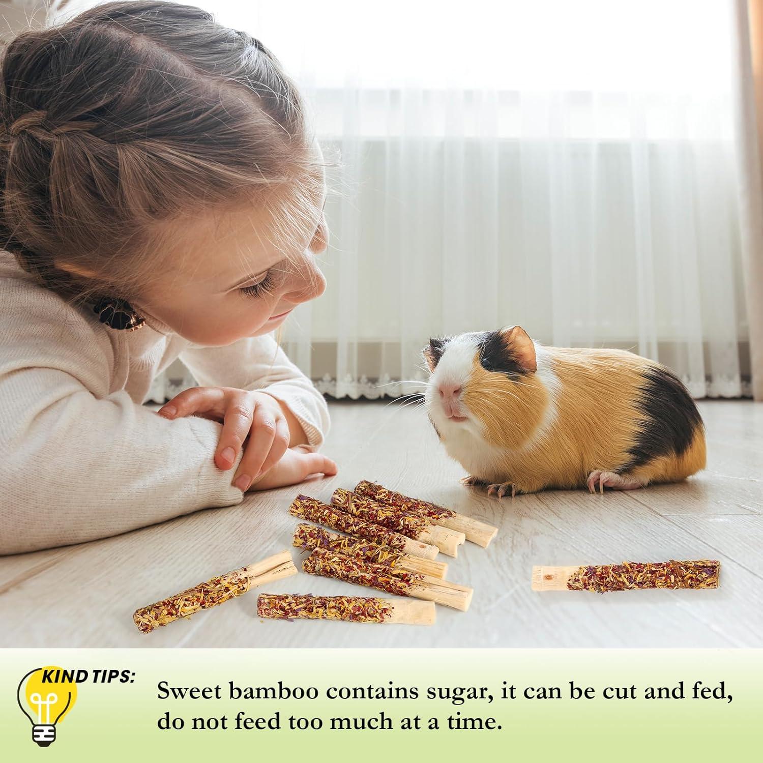 Juguetes Masticables Abizoo para Conejos - 10 Palitos de Bambú