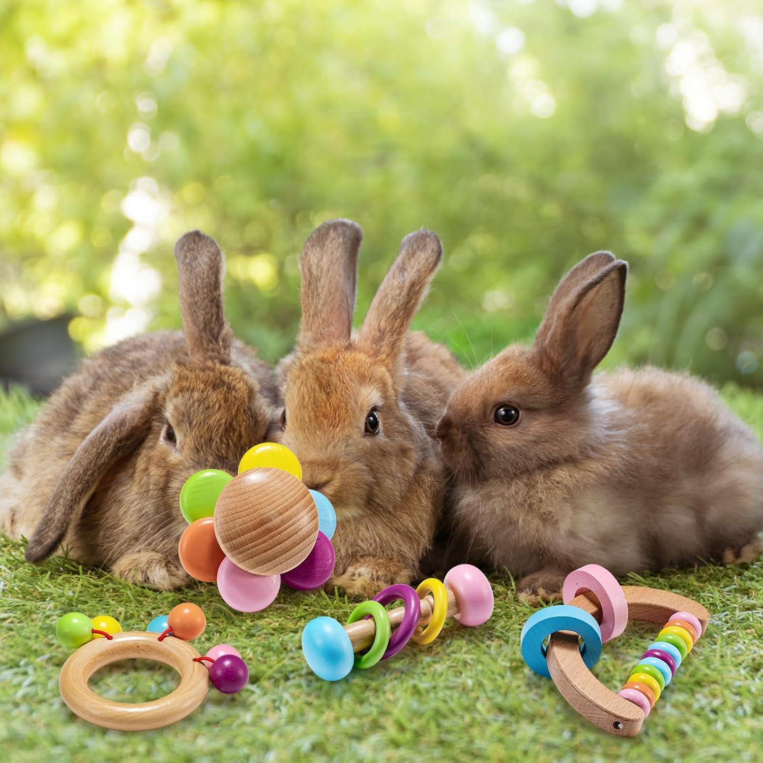 Juguetes de Madera para Conejos AOWPFVV - 4 Piezas Multicolor