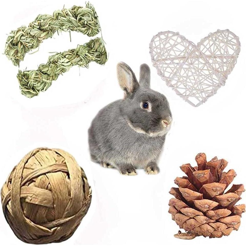 Juego de Juguetes para Hámster ANDES - 22 Piezas Naturales