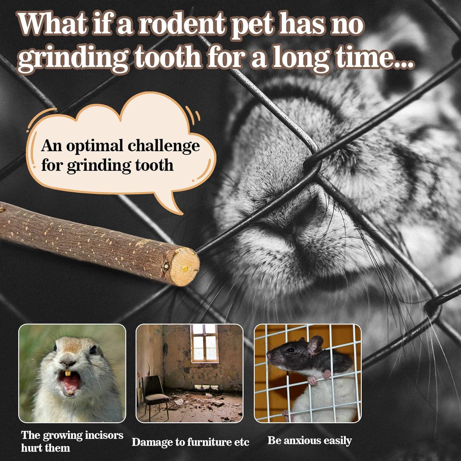 Palitos de Madera de Manzano Orgánicos Sukh - 250g para Hámster y Conejo